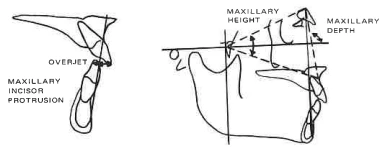 Manual Illustration